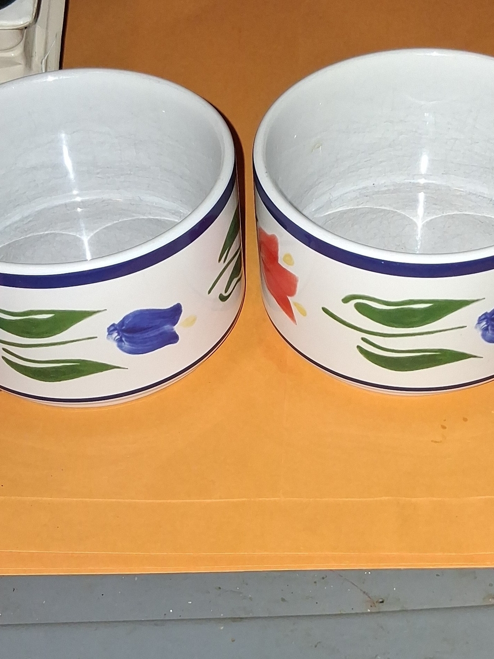 Hand-Painted Ceramic Bowls with Floral Motif - Set of 2